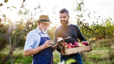 Two men in an orchard, one older with a hat writing on a clipboard, the other holding a wooden crate of apples and smiling, surrounded by apple trees in soft sunlight.