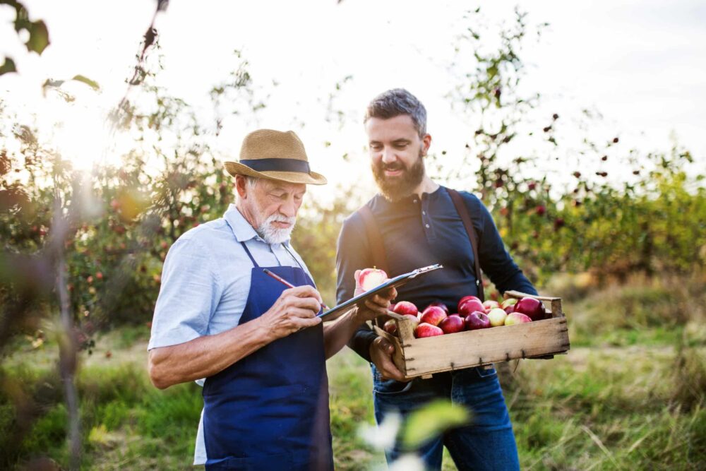 Two men in an orchard, one older with a hat writing on a clipboard, the other holding a wooden crate of apples and smiling, surrounded by apple trees in soft sunlight.